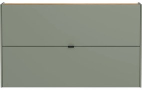 Зелено-сив шкаф за обувки с панти Ameca - Germania