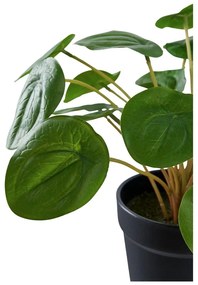 Изкуствено растение (височина 28 cm) Pelia – House Nordic