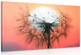 Картина на платно – Глухарче при залез