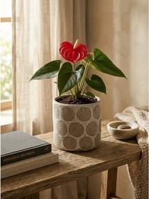 Теракотено ръчно изработено покритие за кашпа ø 12 cm Felan – Bloomingville