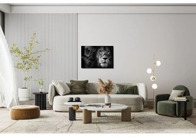 Картина върху стъкло 70x50 cm Lion - Wallity