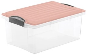 Пластмасова кутия за съхранение с капак Compact - Rotho