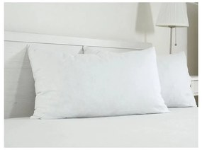 Памучна калъфка за възглавница 45x75 cm Visco – B.E.S.