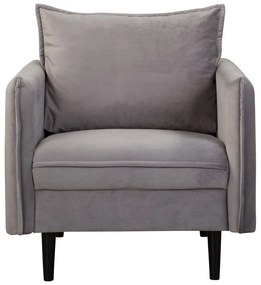 Сиво кадифено кресло Juli – Ropez