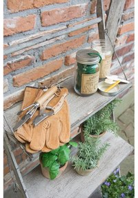 Комплект от 40 буркана за билки от тополово дърво и етикети Heal, 400 ml - Esschert Design