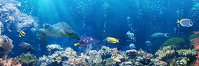 Картина на платно – Тропически рибки