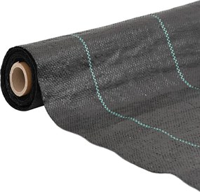 4005163 vidaXL Мембрана против плевели, черна, 2x200 м, PP