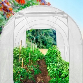 Градинска оранжерия 2,5 x 4 м, бял