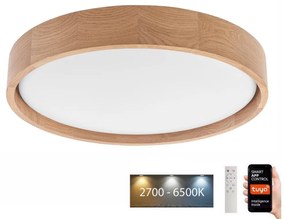 Brilagi - LED Плафониера MANAROLA SMART LED/24W/230V + д.у. Tuya