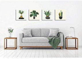 Картини в комплект от 4 бр. 30x30 cm Plants - Wallity