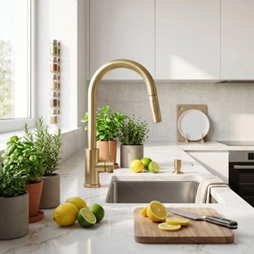 Смесител за кухня Rea Fresh Touch Brush Gold