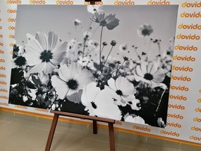Картина на платно – Летни цветя в черно-бяло