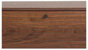 Кафява маса за телевизор от декор от орех 120x50x40 cm Stripes – White Label