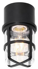 Таванна и стенна лампа черна с прозрачен абажур IP54 - Kiki