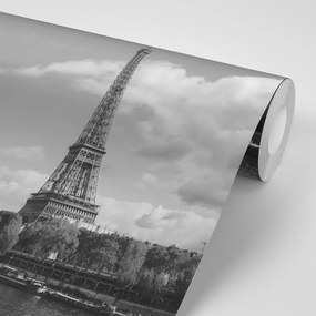 Фототапет – Прекрасна черно-бяла панорама на Париж