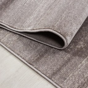 Бежова пътека 80x300 cm Plus – Ayyildiz Carpets