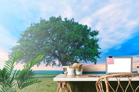 Самозалепващ фототапет – Самотен дъб