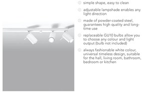 Бяло таванно осветително тяло 6L Etna - Sollux