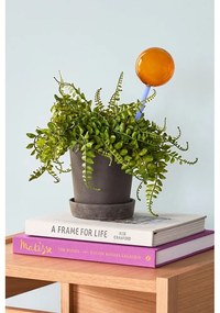 Сфера за поливане от синьо-кафяво стъкло Flora - Hübsch