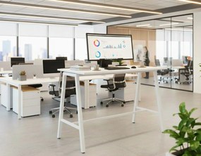 Бюро AlphaDesk I-Leuko