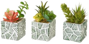 Изкуствени растения в комплект от 3 броя (височина 12 см) Cactus - Casa Selección