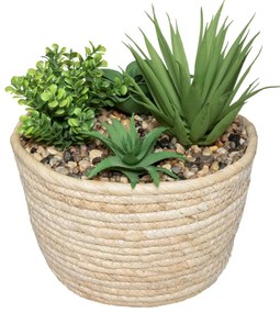 Изкуствено растение atmosphera Hacienda, 19 cm