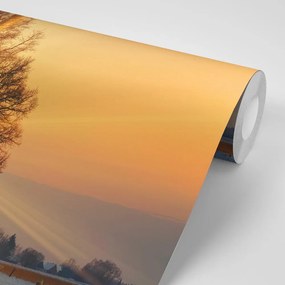 Фототапет – Коне в заснежен пейзаж