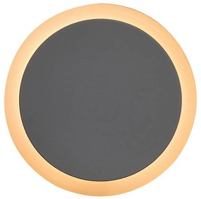 Rabalux 76000 - LED Нощна лампа за контакт ZOFE LED/0,3W/230V