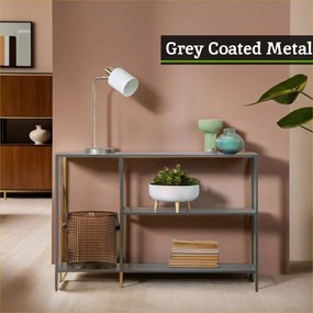 Сива стоманена конзолна маса 30x120 cm Acero – Premier Housewares