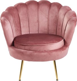 Фотьойл Moli-Пепел от роза