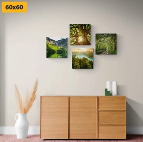 Комплект картини – Красива зелена природа