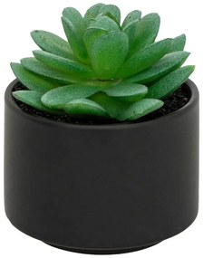 Изкуствено растение atmosphera Succulent, 13 cm, Различни видове
