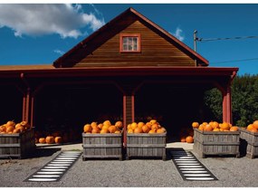 Черна пътека за открито и закрито 70x300 cm Ella Black – Pappelina