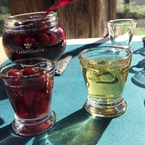 Стъклена поставка за яйца La Rochère Abeille - La Rochére