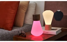 Настолна лампа с възможност за затъмняване в естествен цвят (височина 13 см) Pentagon - Gingko