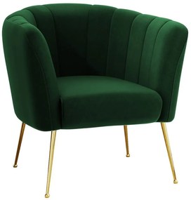 Фотьойл Giliali-Prasino