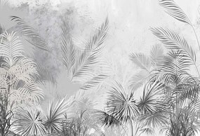 Фототапет Jungle Mist