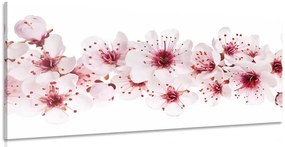 Картина на платно – Черешови цветя