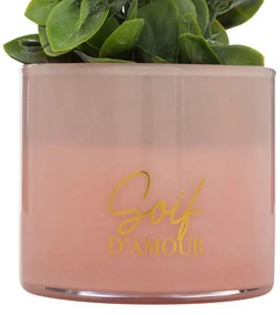 Изкуствено растение atmosphera Tayli Succulent, 18 cm, Различни видове