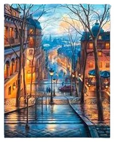 Painting by Numbers Set Alex Bog Stairs Down of Montmatre Paris 40 x 50 cm