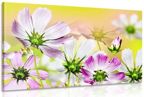 Картина на платно – Летни цветя