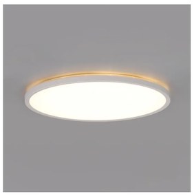 LED баня таванно осветително тяло NIVERA LED/18W/230V IP54 пр. 30 см бяло