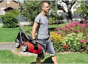 Електрически култиватор-аератор Einhell GE-SA 1435, 1400 W, 31 см, 28 л (3420561)