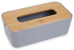 Пластмасова кутия за носни кърпички Canyon - Premier Housewares