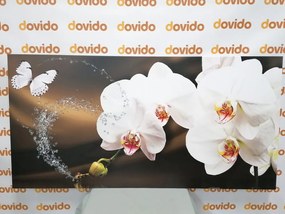 Картина на платно – Орхидея и пеперуда