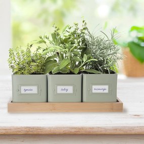 Метални саксии за билки в комплект от 3 бр. Greenish – Orion
