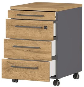 Дъбов шкаф в естествен цвят 42x61 cm Agenda - Germania