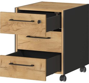 Шкафче от декор от дъб в антрацитен и естествен цвят 42x54x49 cm Podium – Germania