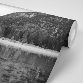 Фототапет – Черно-бяло езеро заобиколено от природа