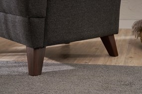 Едноместен диван Aly, цвят Антрацит